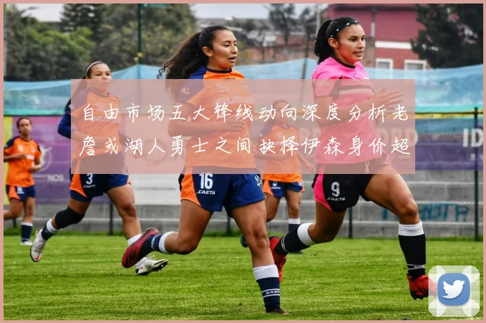 自由市场五大锋线动向深度分析老詹或湖人勇士之间抉择伊森身价超2000万