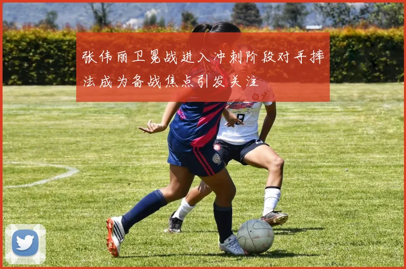 张伟丽卫冕战进入冲刺阶段对手摔法成为备战焦点引发关注